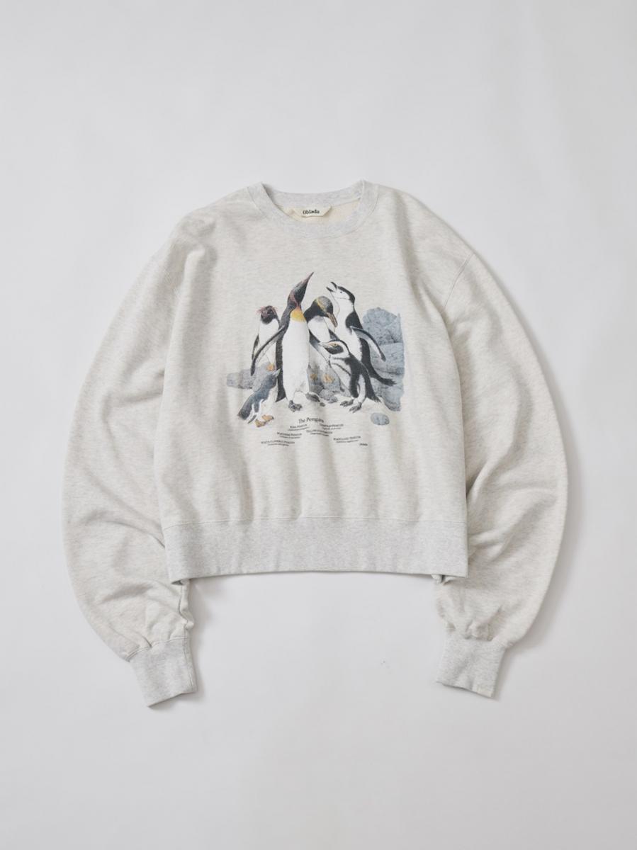 PENGUINES SWEAT
